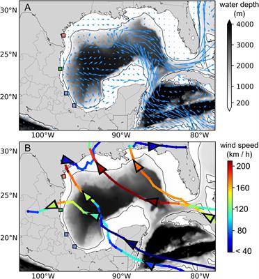 Hurricane Frequency and Intensity May Decrease Dispersal of Kemp’s Ridley Sea Turtle Hatchlings in the Gulf of Mexico